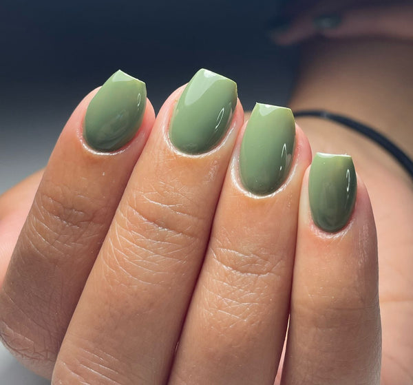 Classic Colors Matcha #1